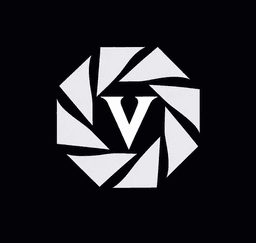 OpenVidi logo